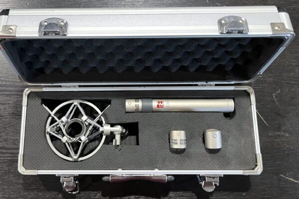 sE Electronics sE2a Multi-Pattern Condenser Microphone - Occasion