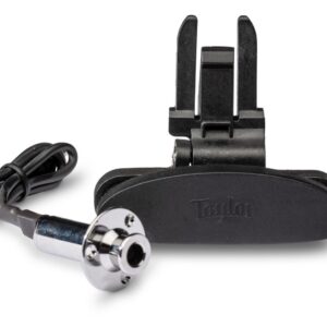 Taylor ES-Go Pickup pour GS Mini