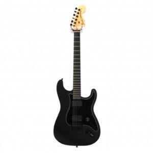 Fender Jim Root Stratocaster