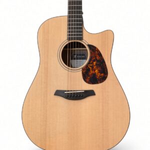 Furch Blue CD-SW-ESPE